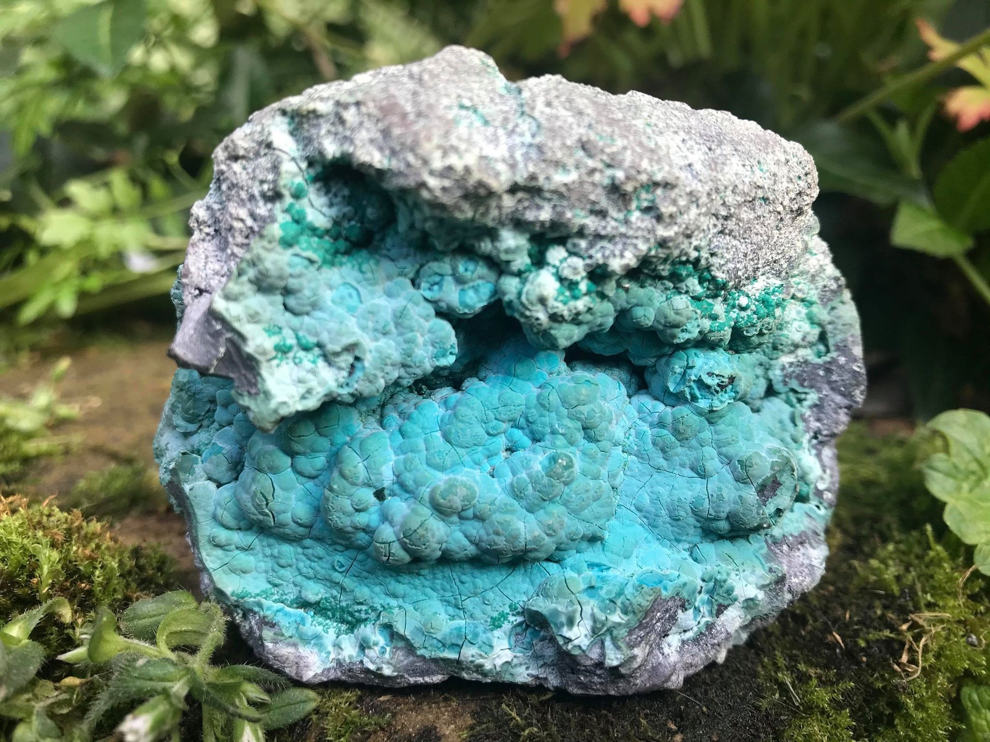 Chrysocolla Specimen - Gem Realm