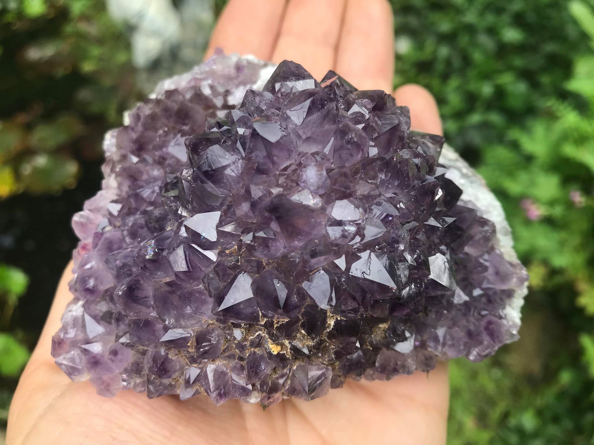 Amethyst Flower Specimen ~ Uruguay - Gem Realm