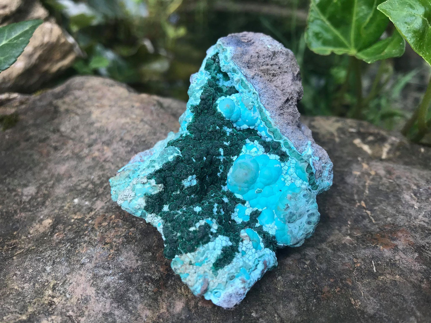 Chrysocolla & Malachite Specimen - Gem Realm