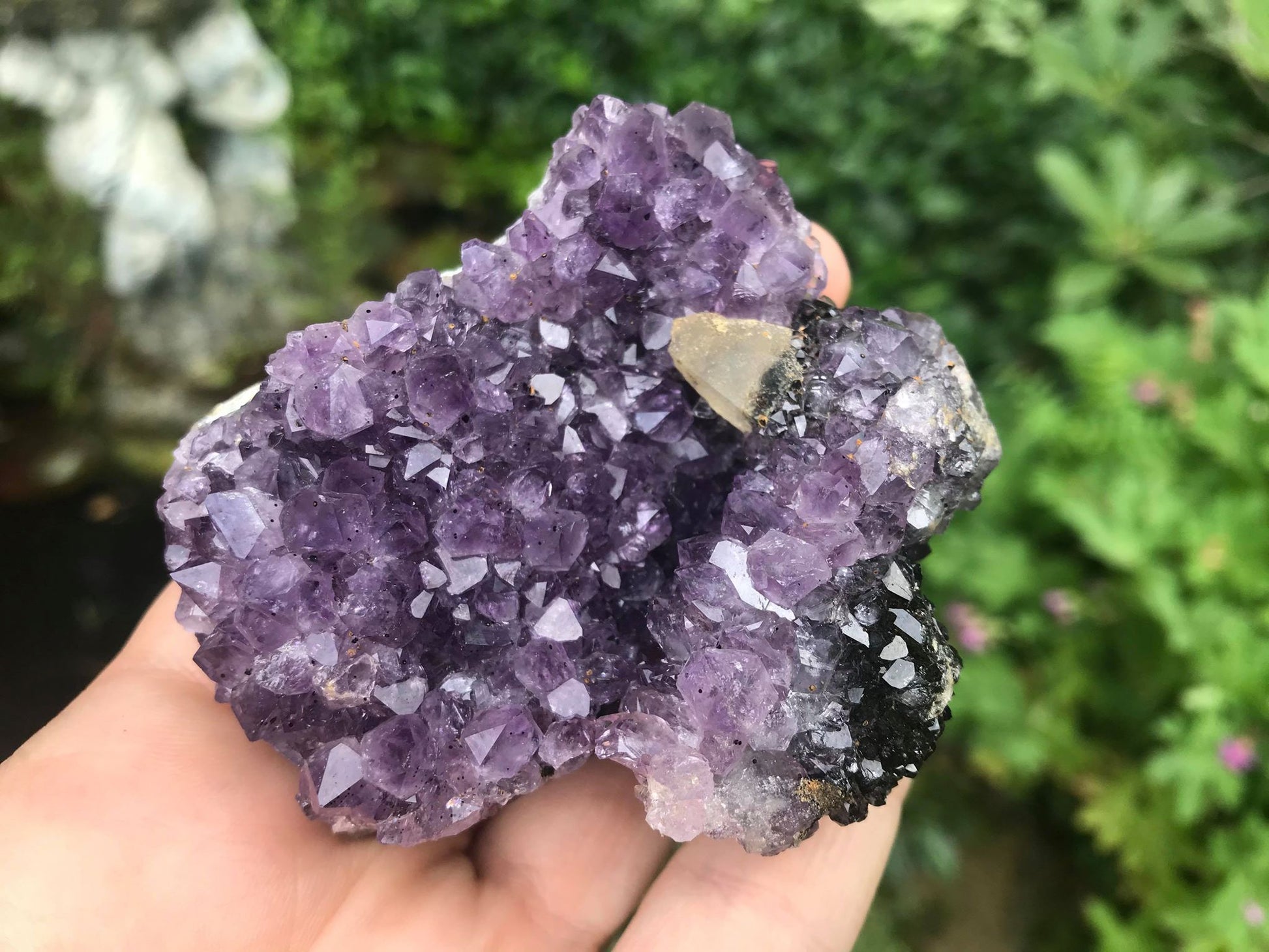 Amethyst with Calcite Specimen ~ Uruguay - Gem Realm