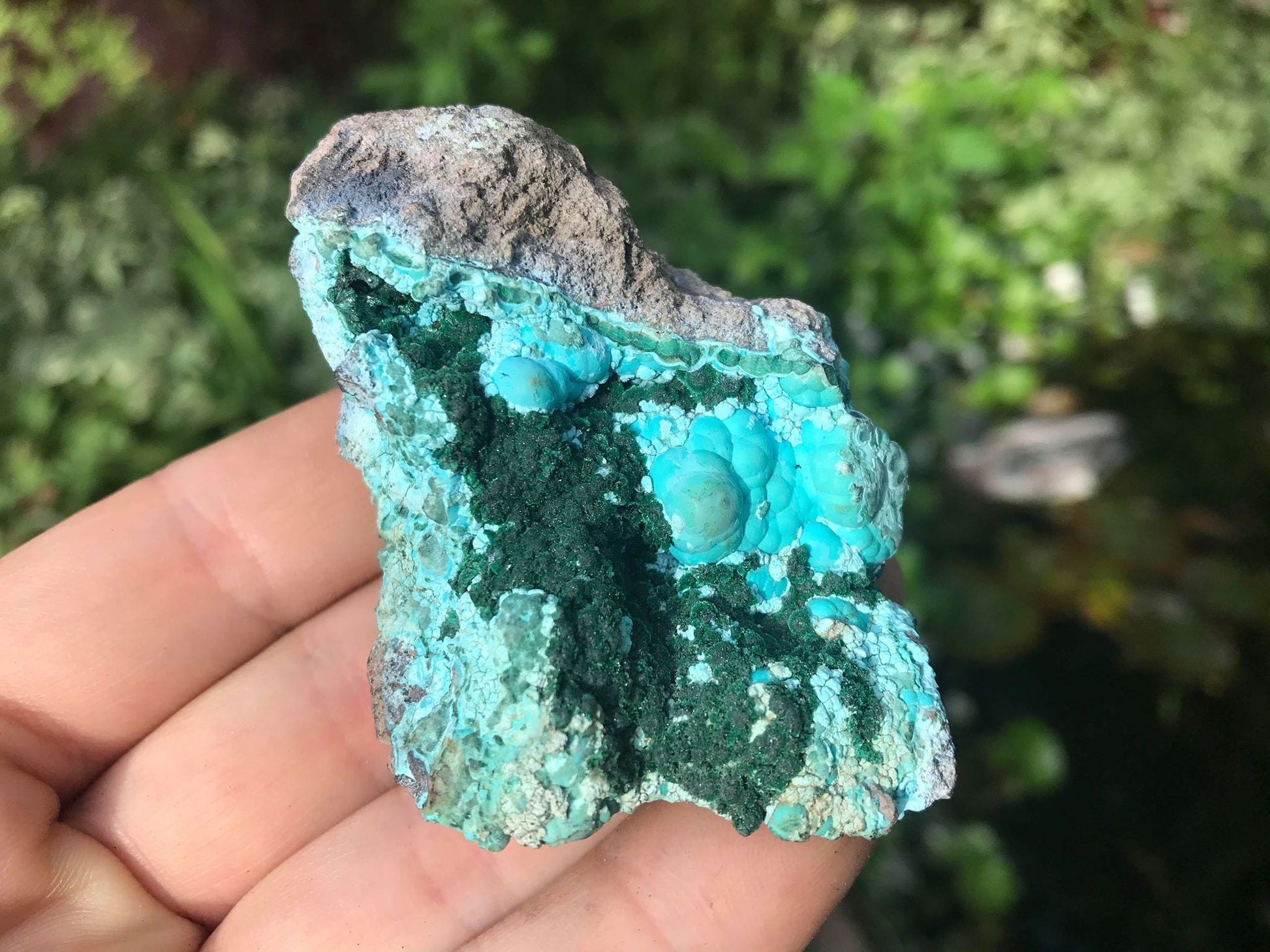 Chrysocolla & Malachite Specimen - Gem Realm