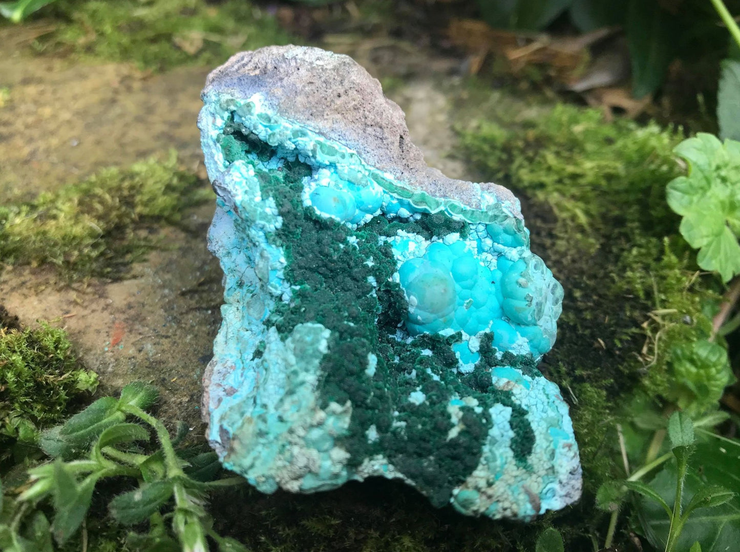 Chrysocolla & Malachite Specimen - Gem Realm