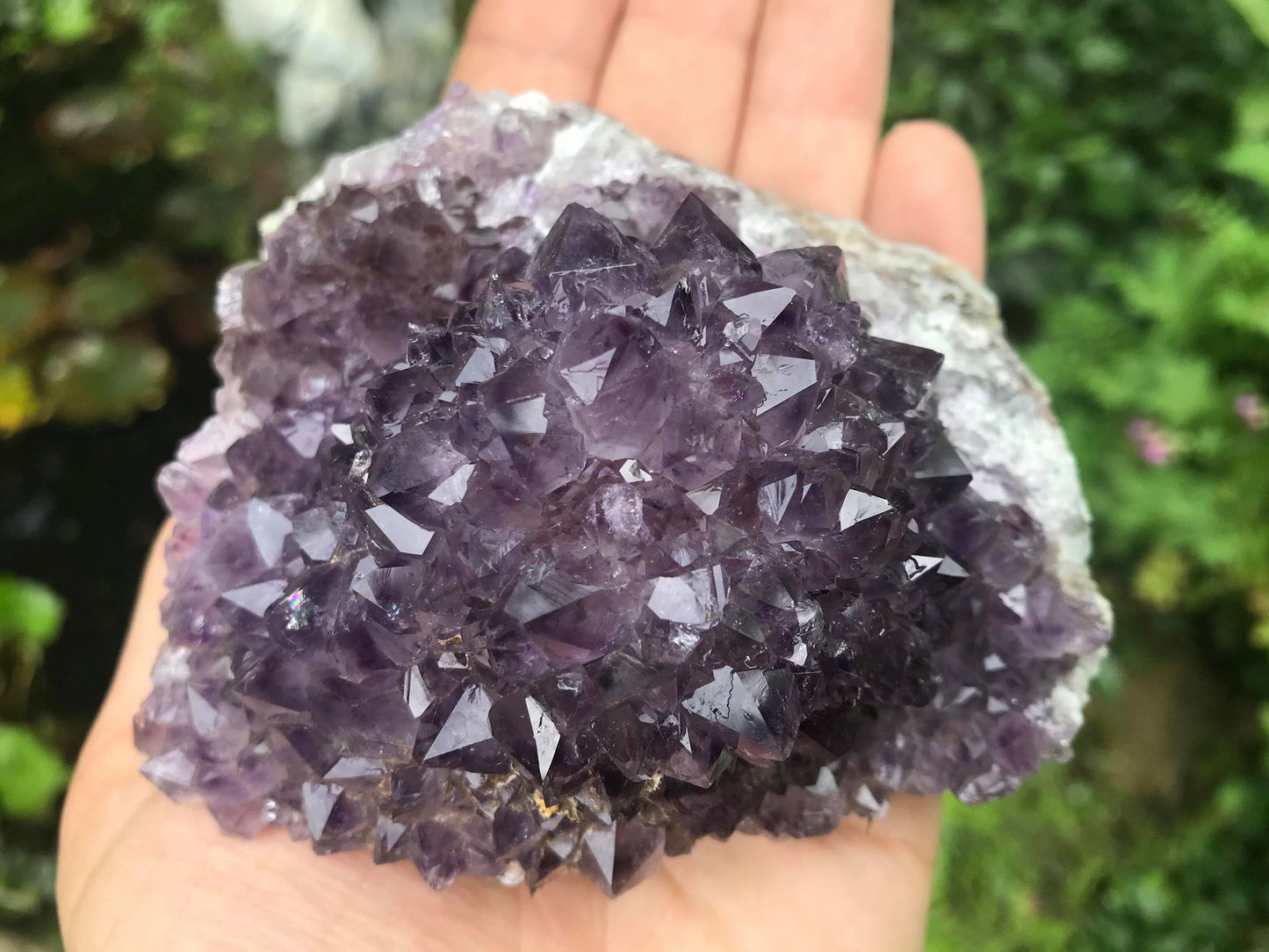 Amethyst Flower Specimen ~ Uruguay - Gem Realm
