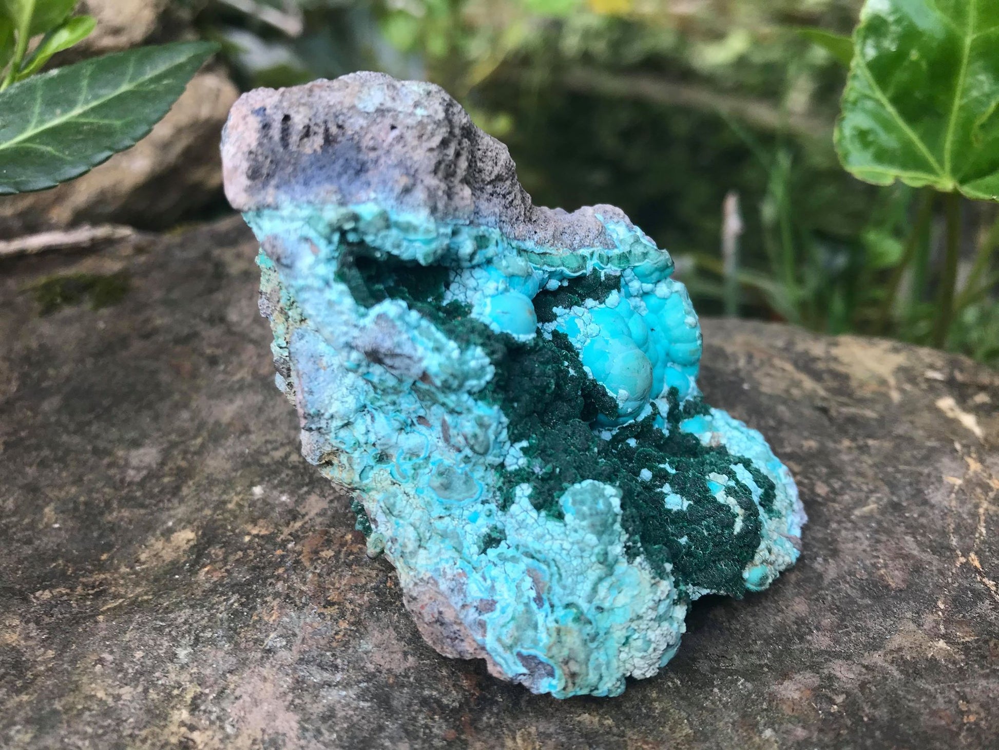 Chrysocolla & Malachite Specimen - Gem Realm