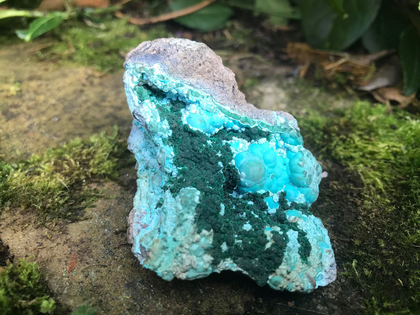 Chrysocolla & Malachite Specimen - Gem Realm