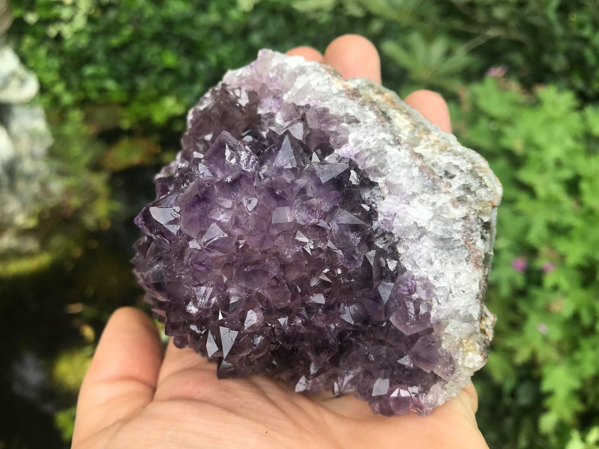 Amethyst Flower Specimen ~ Uruguay - Gem Realm