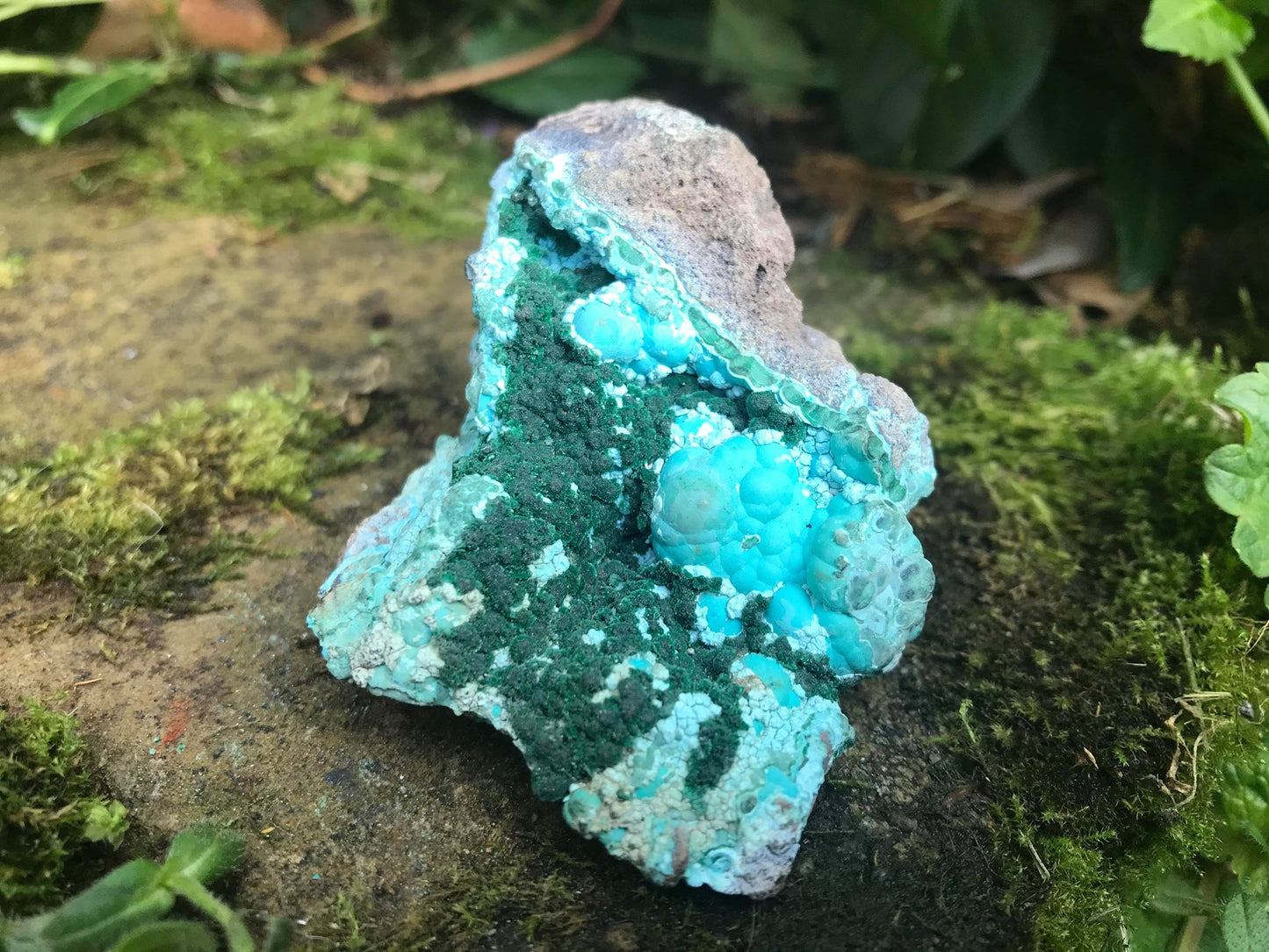 Chrysocolla & Malachite Specimen - Gem Realm