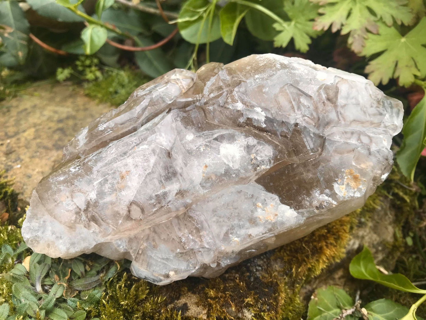 Smoky Elestial Specimen - Gem Realm