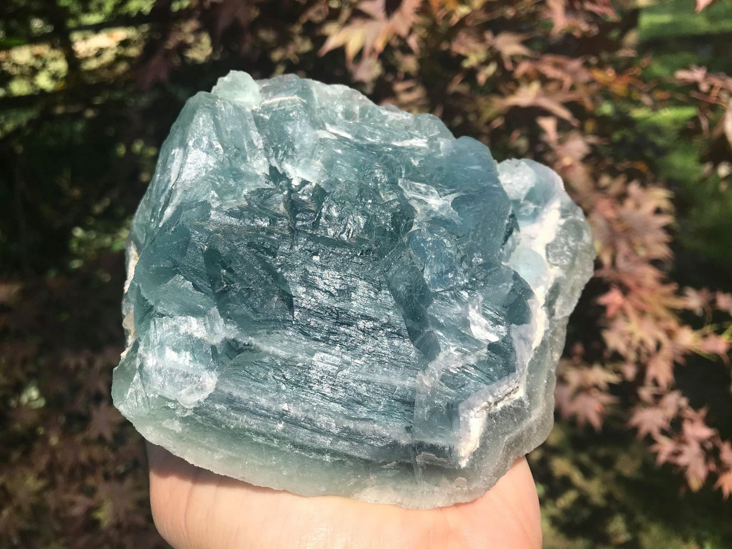 Green Fluorite Specimen - Gem Realm
