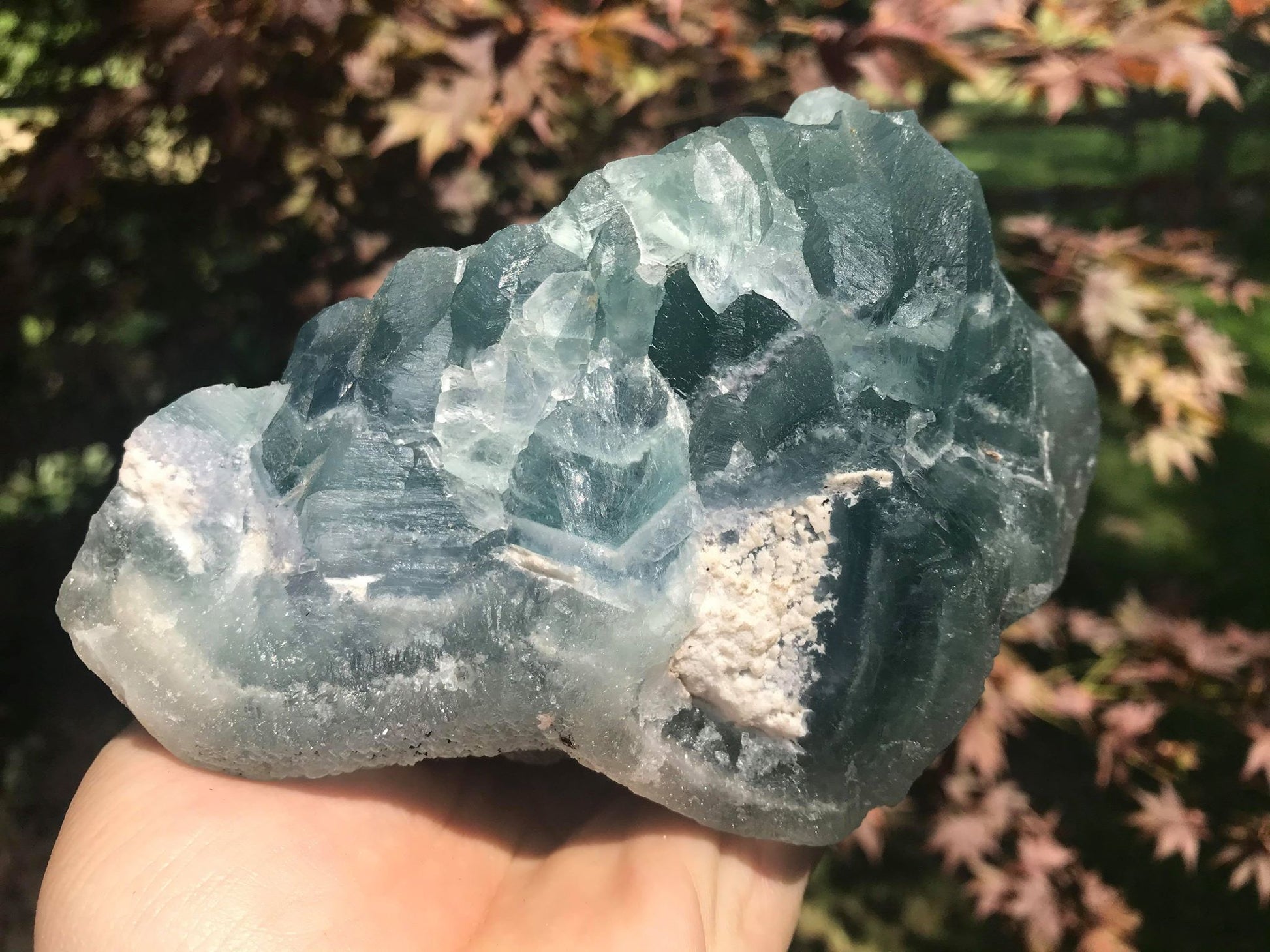 Green Fluorite Specimen - Gem Realm
