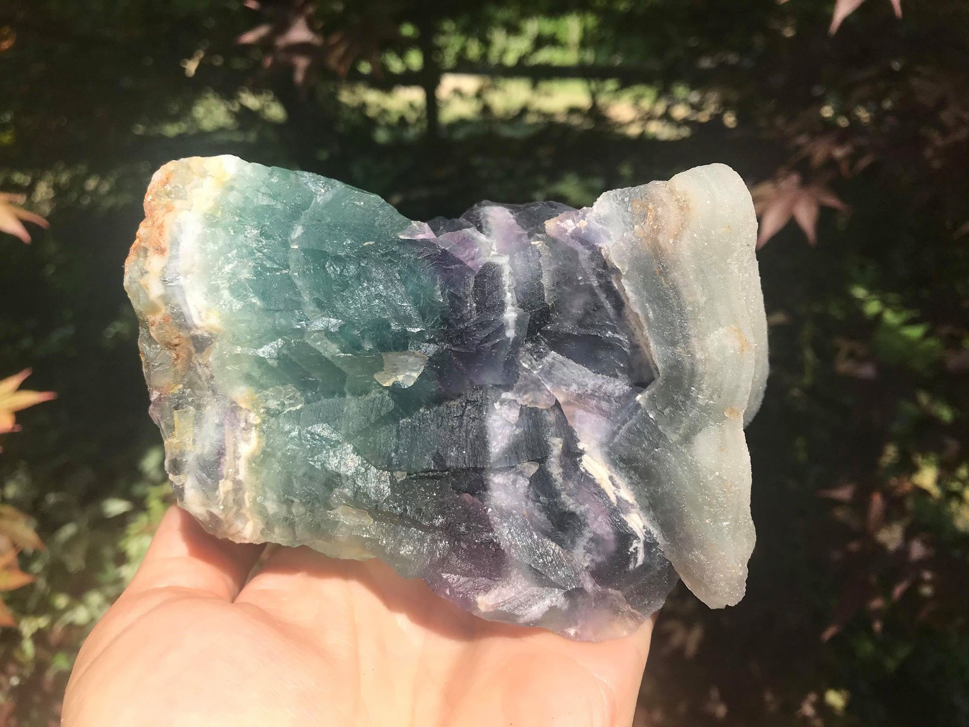 Rainbow Fluorite Specimen - Gem Realm