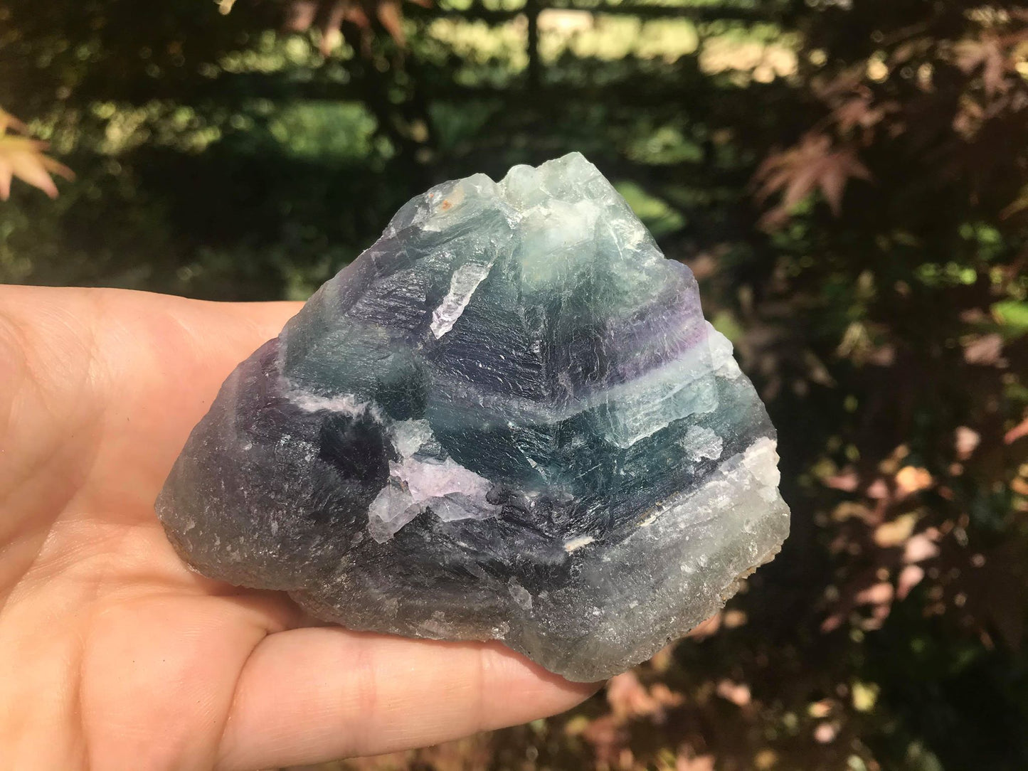 Rainbow Fluorite Specimen - Gem Realm
