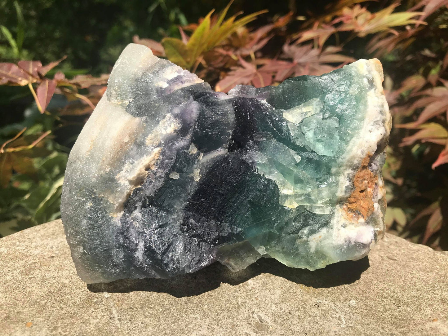 Rainbow Fluorite Specimen - Gem Realm