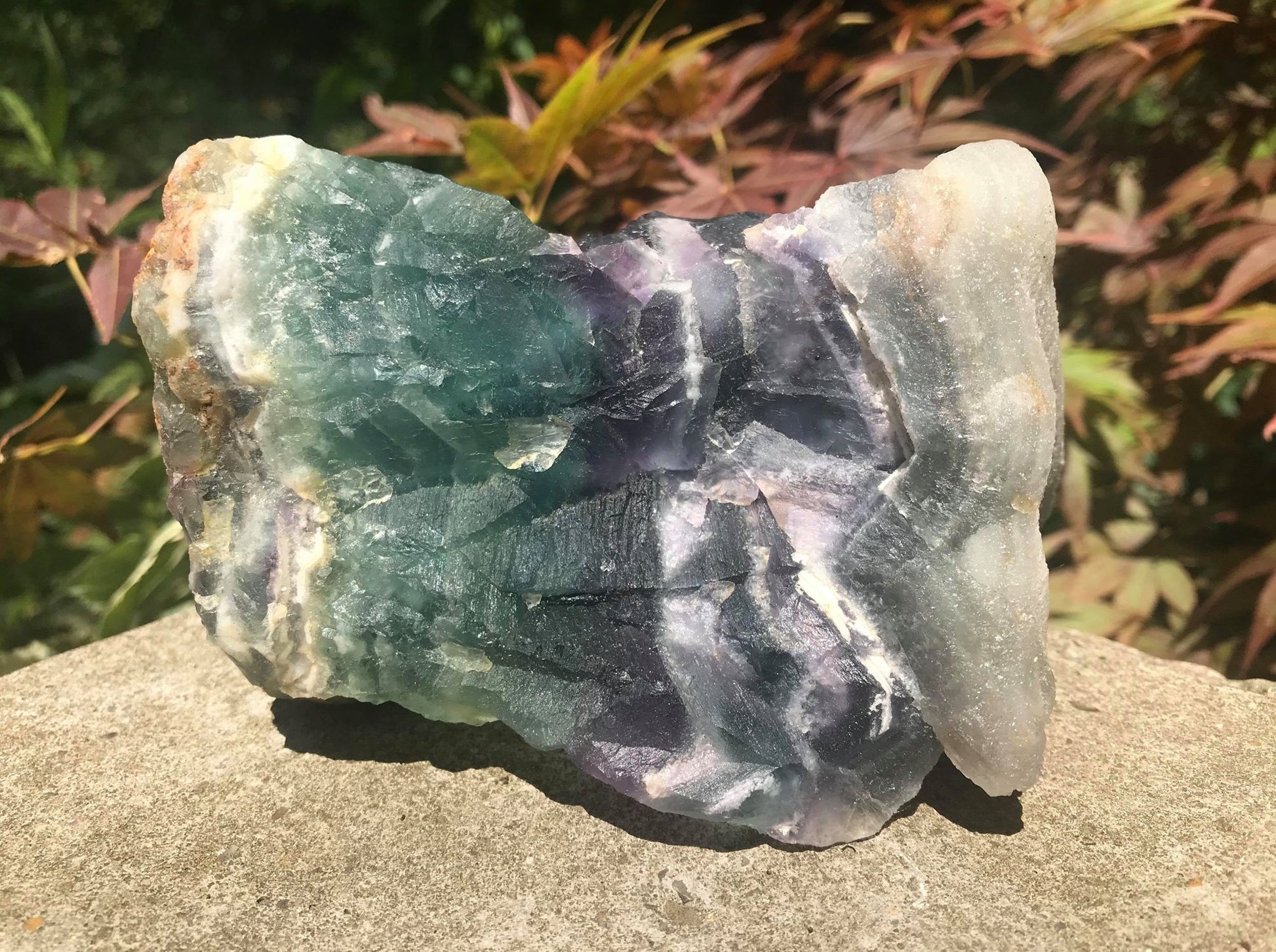 Rainbow Fluorite Specimen - Gem Realm