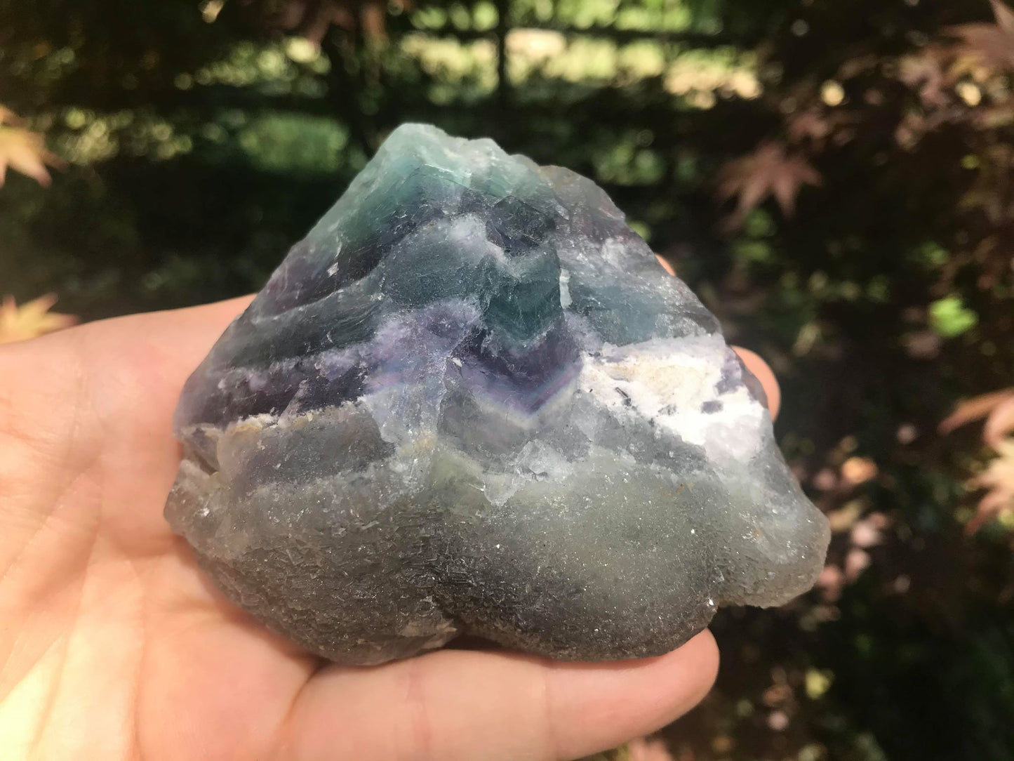 Rainbow Fluorite Specimen - Gem Realm