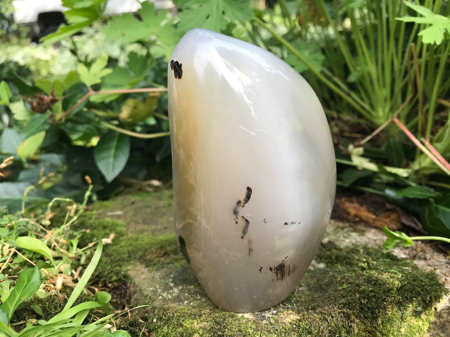 Dendritic Agate Freeform