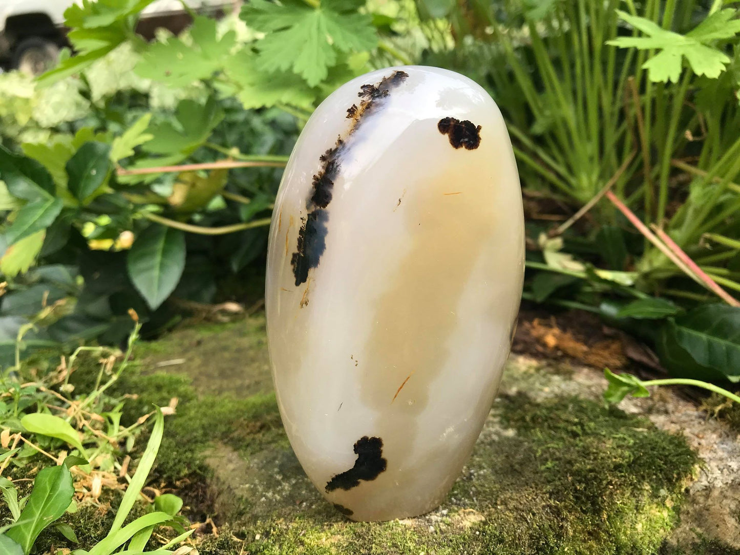 Dendritic Agate Freeform