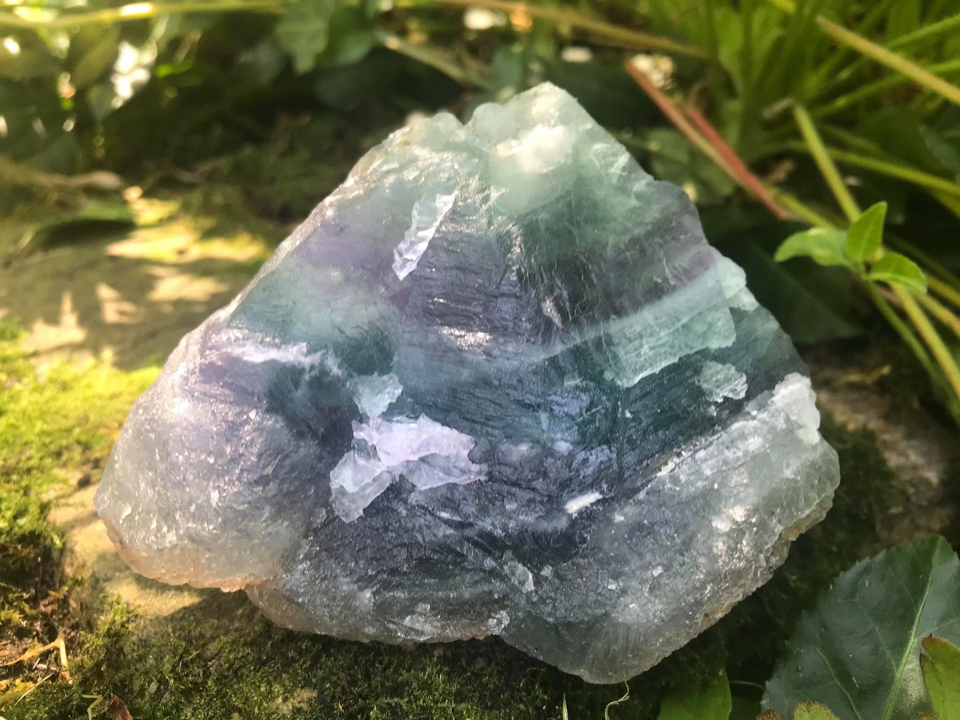 Rainbow Fluorite Specimen - Gem Realm