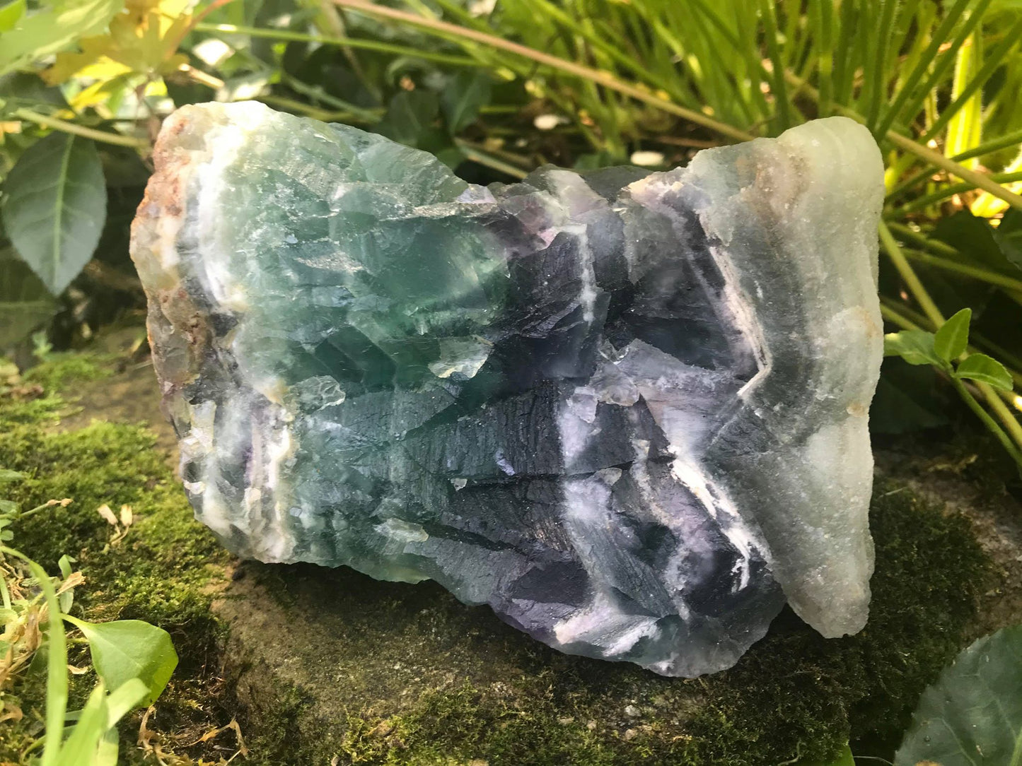 Rainbow Fluorite Specimen - Gem Realm