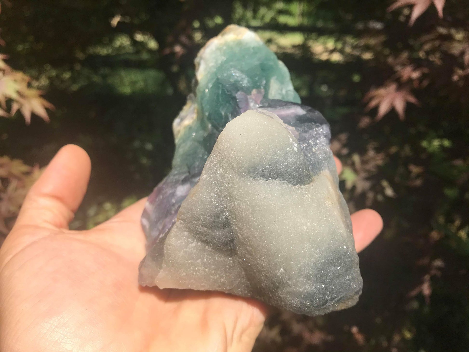Rainbow Fluorite Specimen - Gem Realm