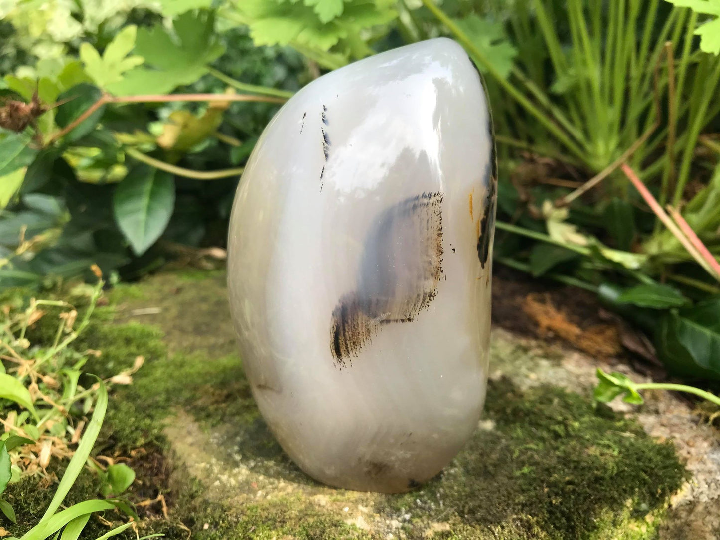 Dendritic Agate Freeform