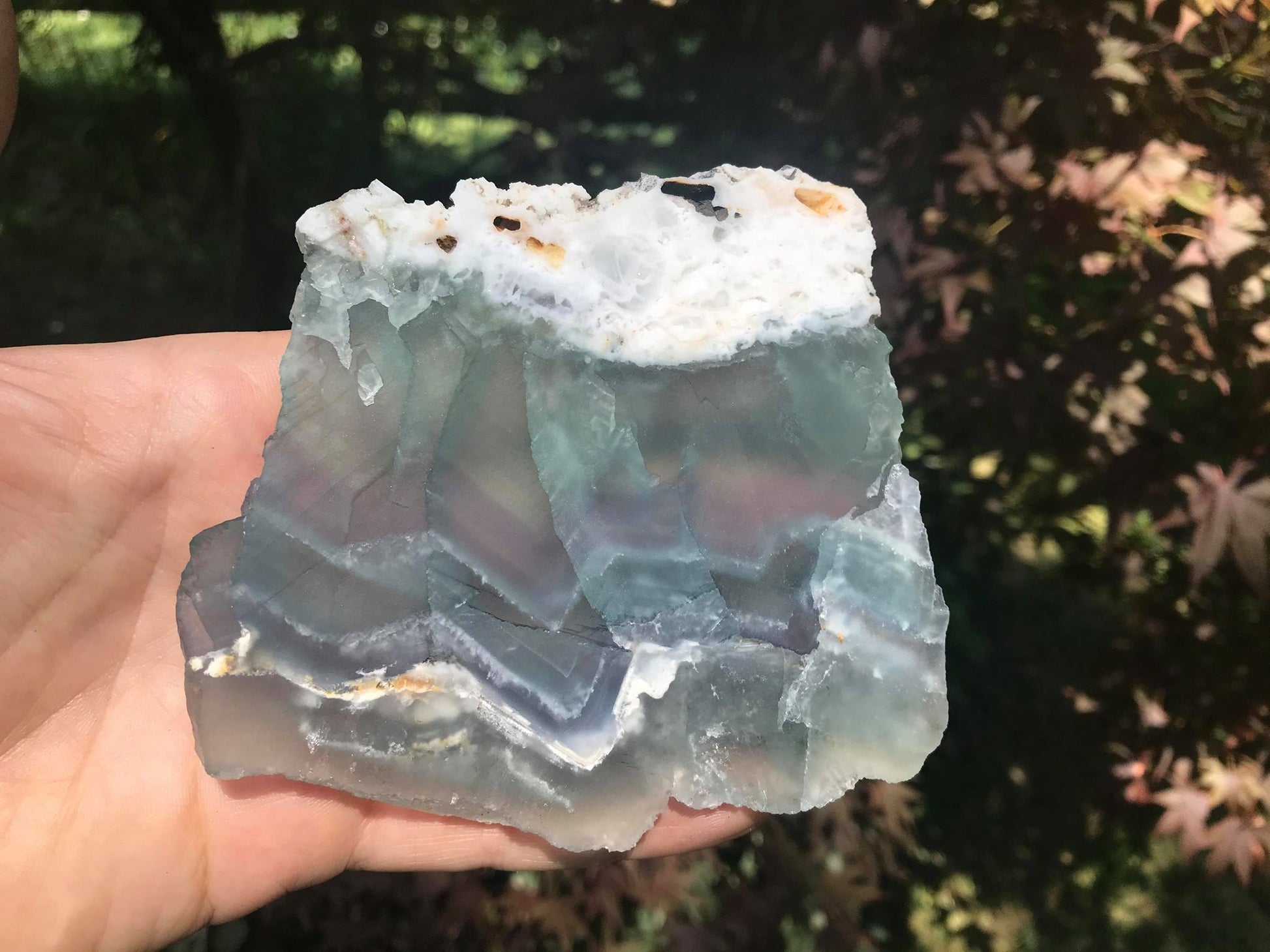 Rainbow Fluorite Slice - Gem Realm