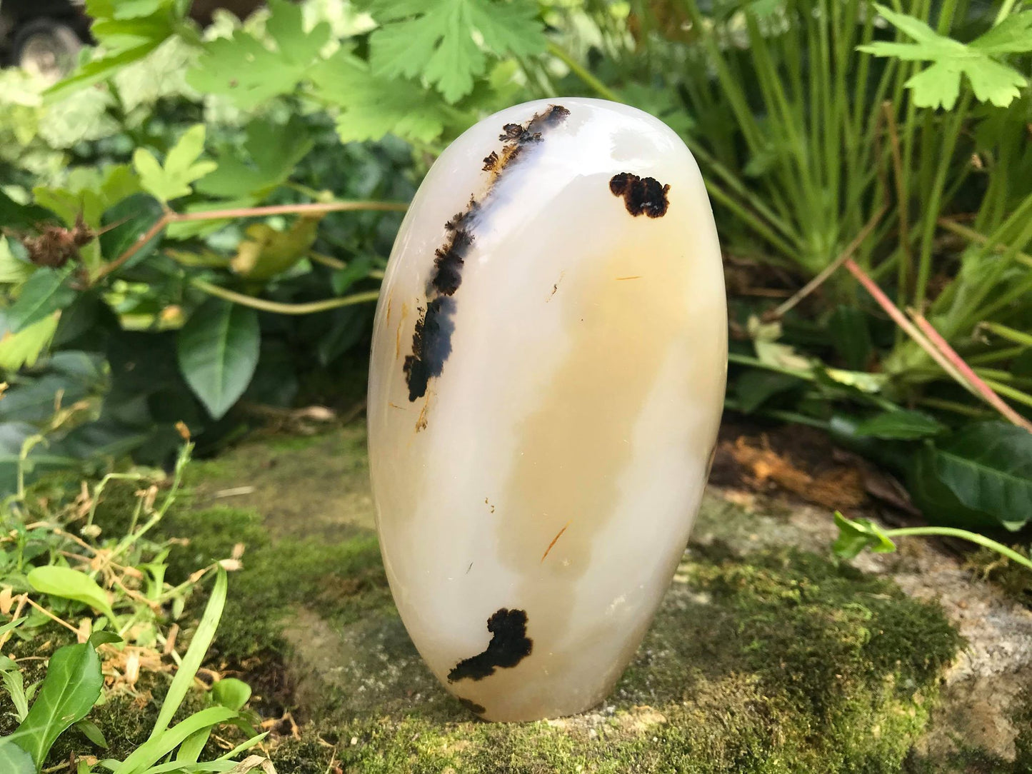Dendritic Agate Freeform