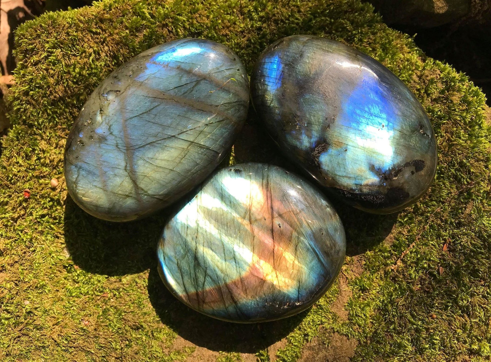 Labradorite Palm Stones - Gem Realm