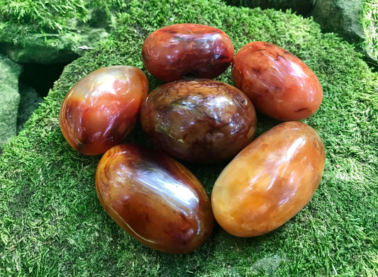 Carnelian Palm Stones - Gem Realm