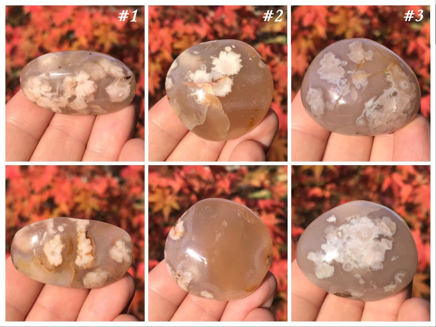 Flower Agate Palm Stones