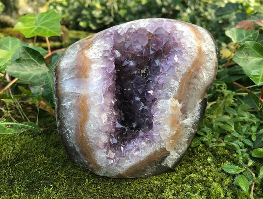 Amethyst Geode - Gem Realm