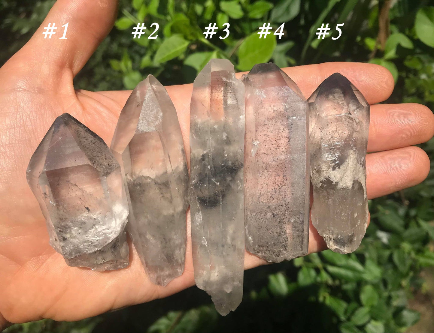 Grey Phantom Quartz Points