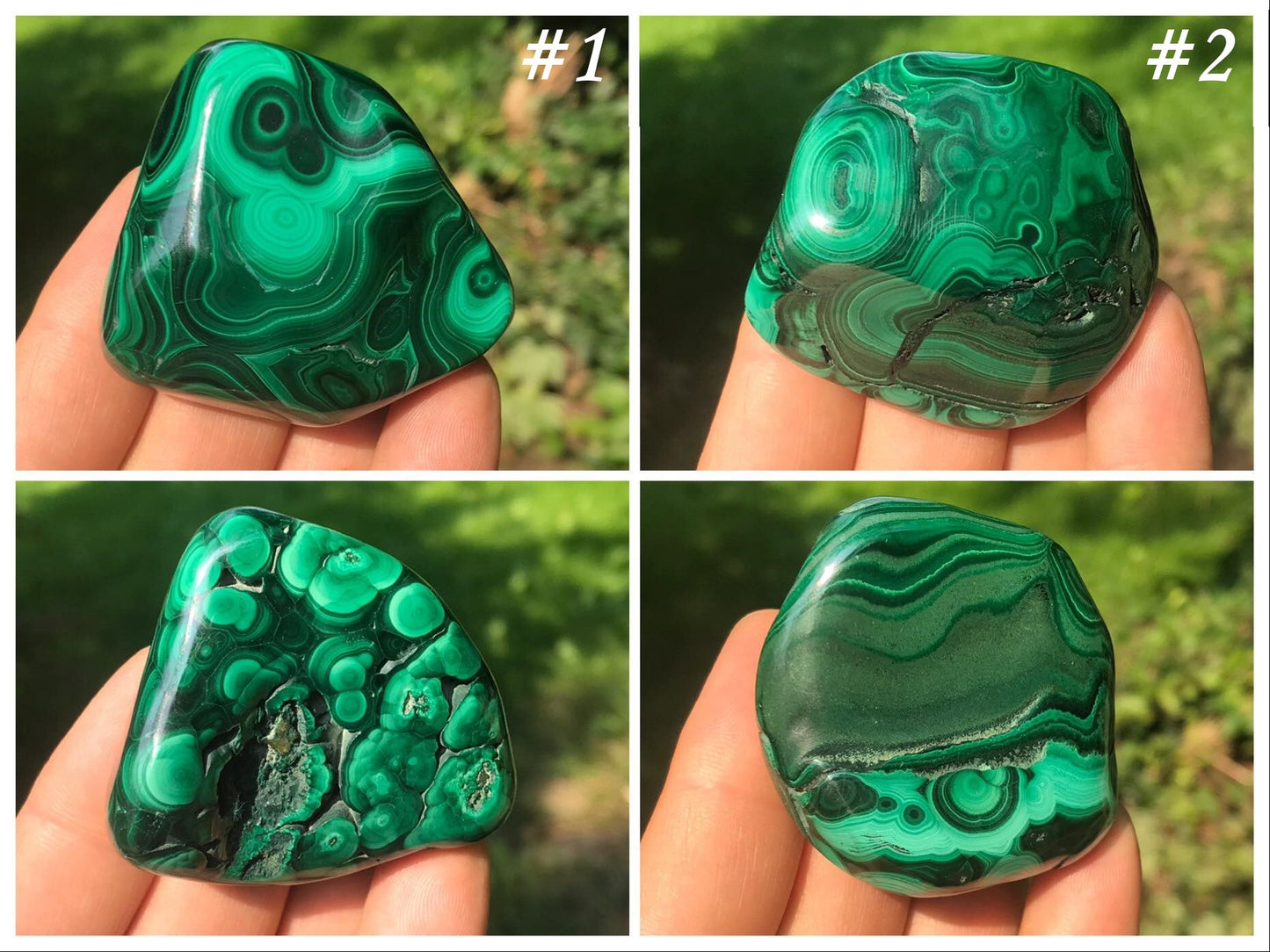 Malachite Freeforms ~ Polished Specimens