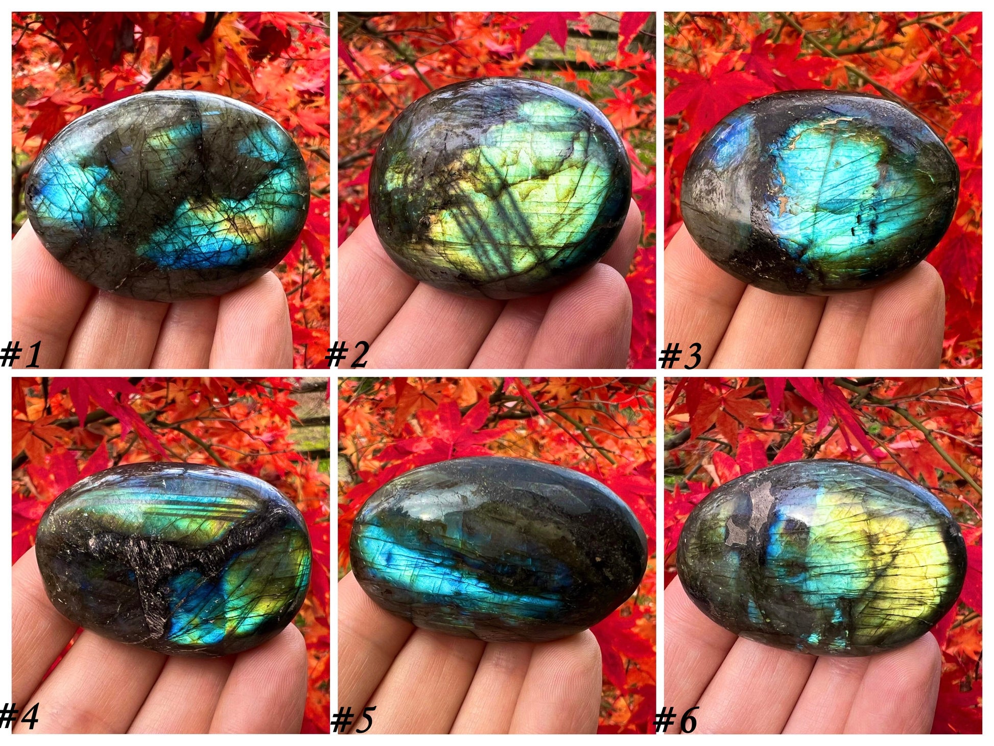 Labradorite Palm Stones - Gem Realm