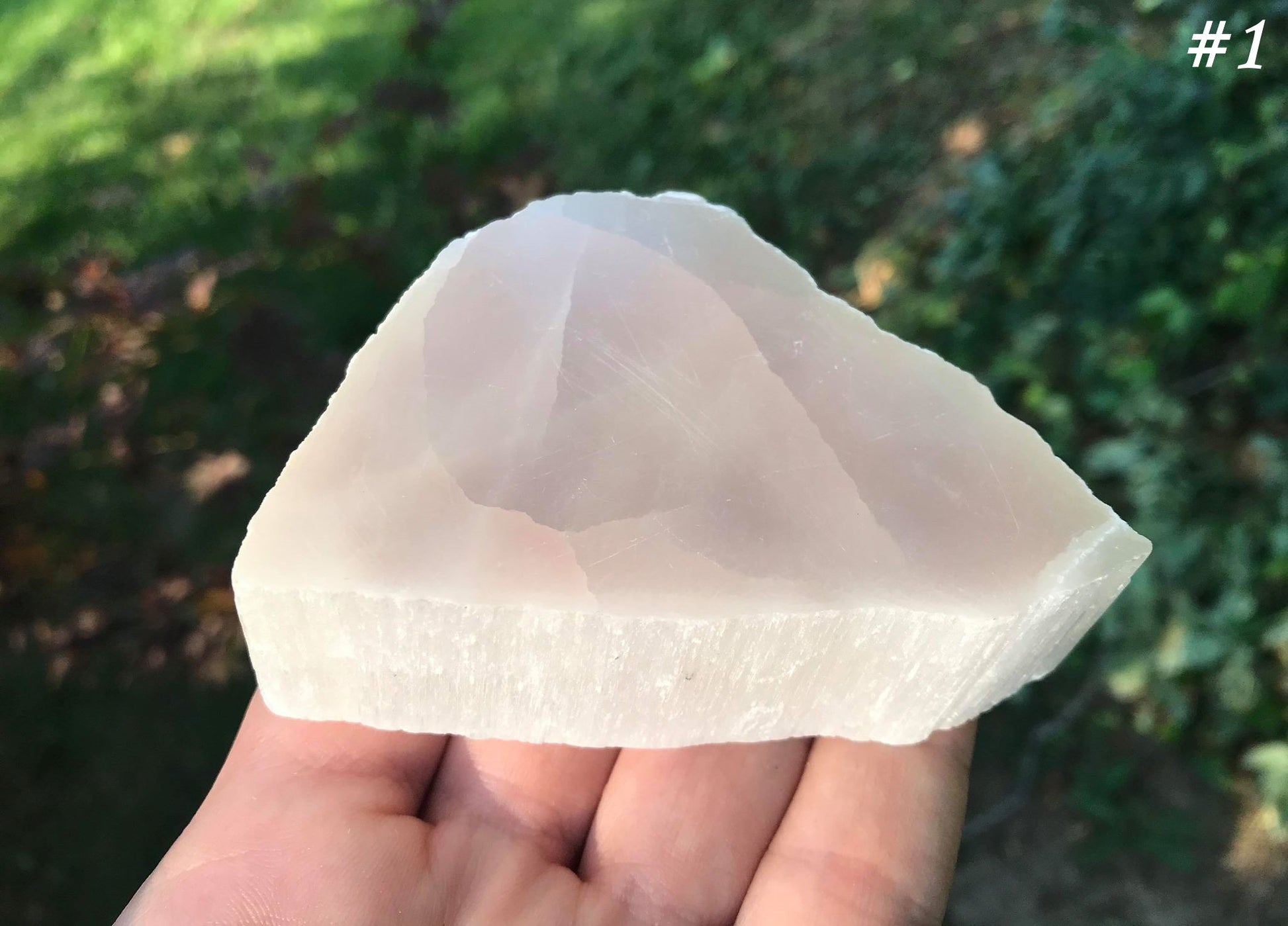 Selenite Slices - Gem Realm