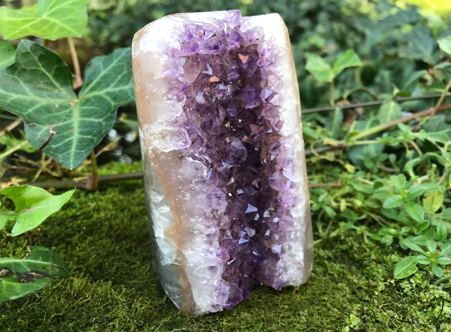 Amethyst Geode - Gem Realm
