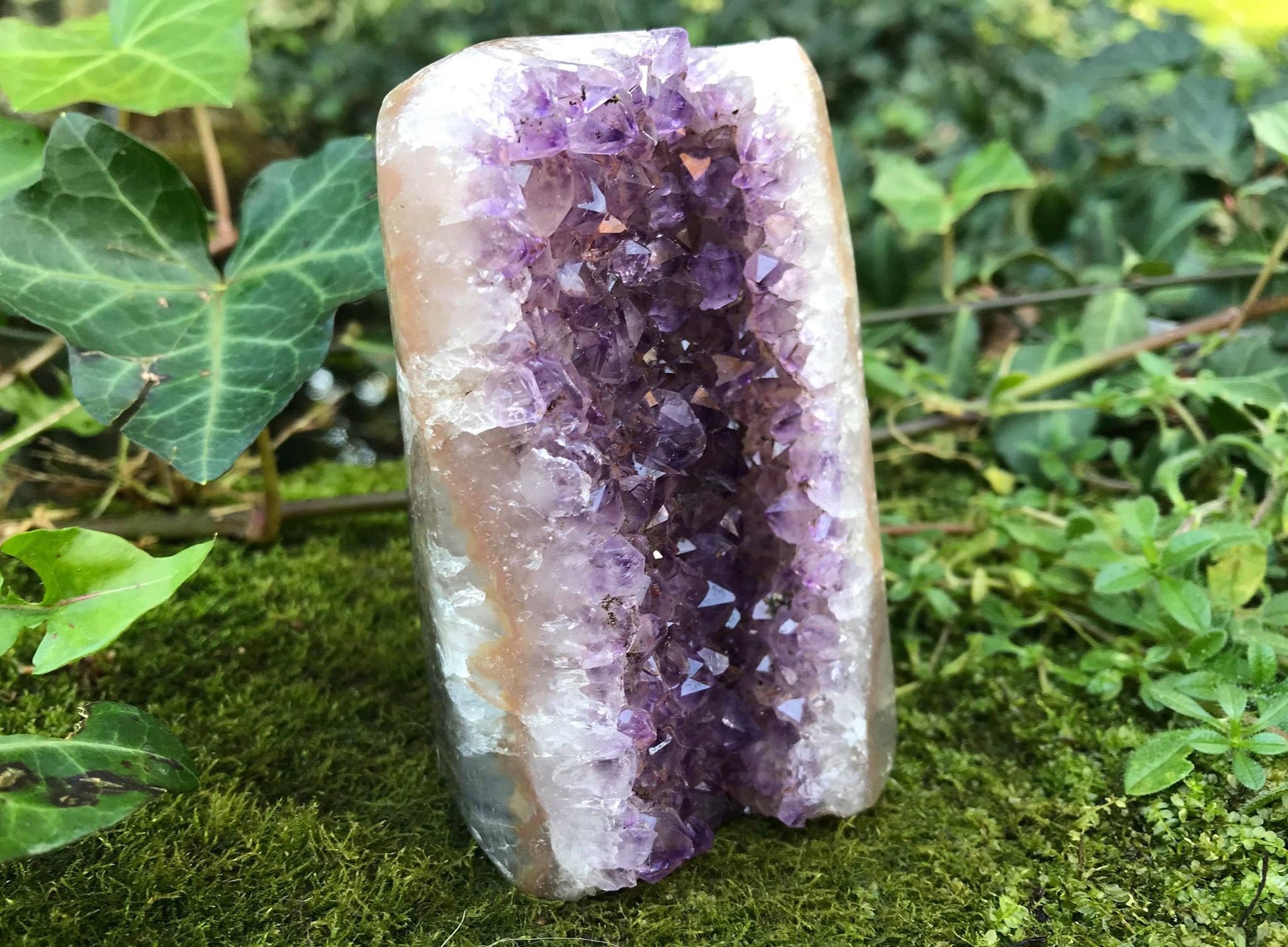 Amethyst Geode - Gem Realm