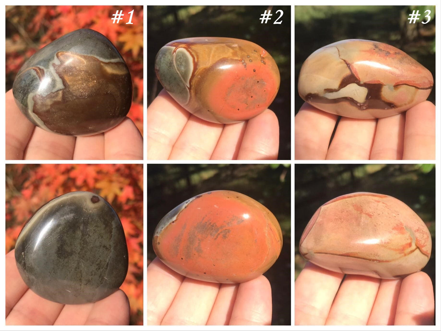Polychrome Jasper Palm Stones - Gem Realm