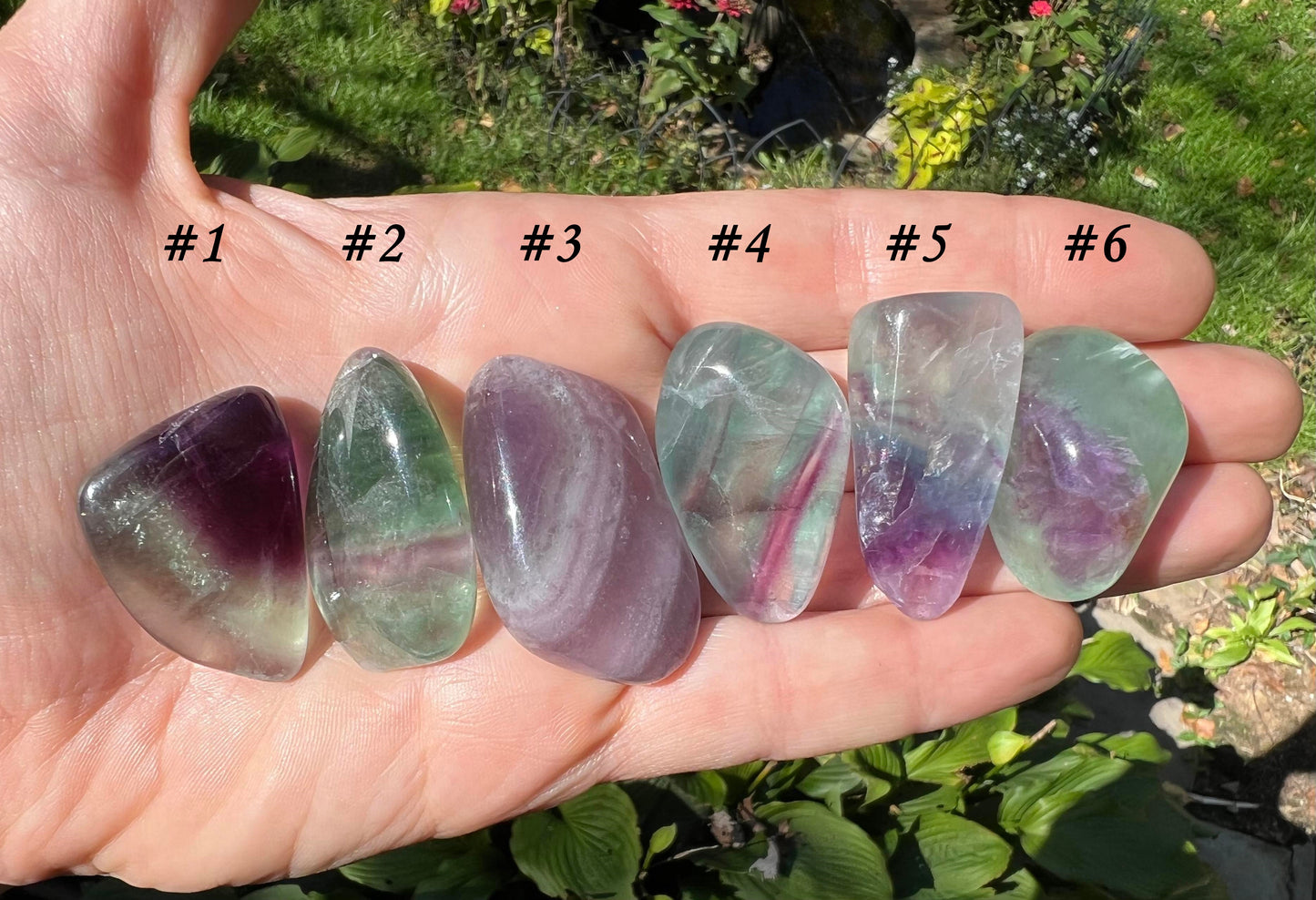 Rainbow Fluorite - Gem Realm