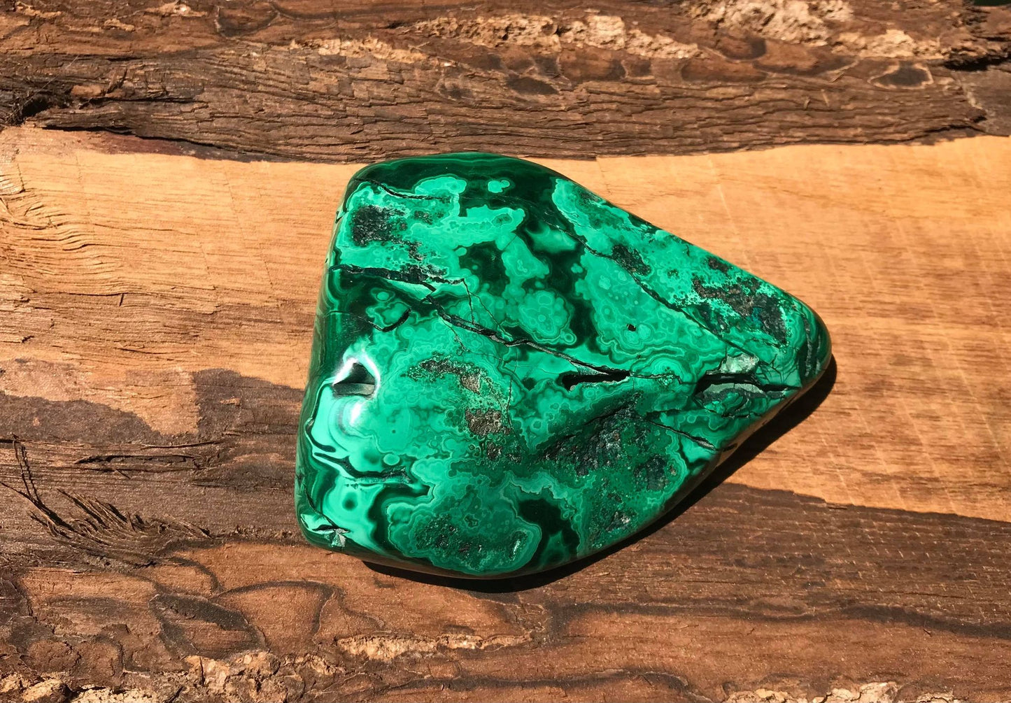 Malachite ~ Polished Specimen Freeform ~ Large