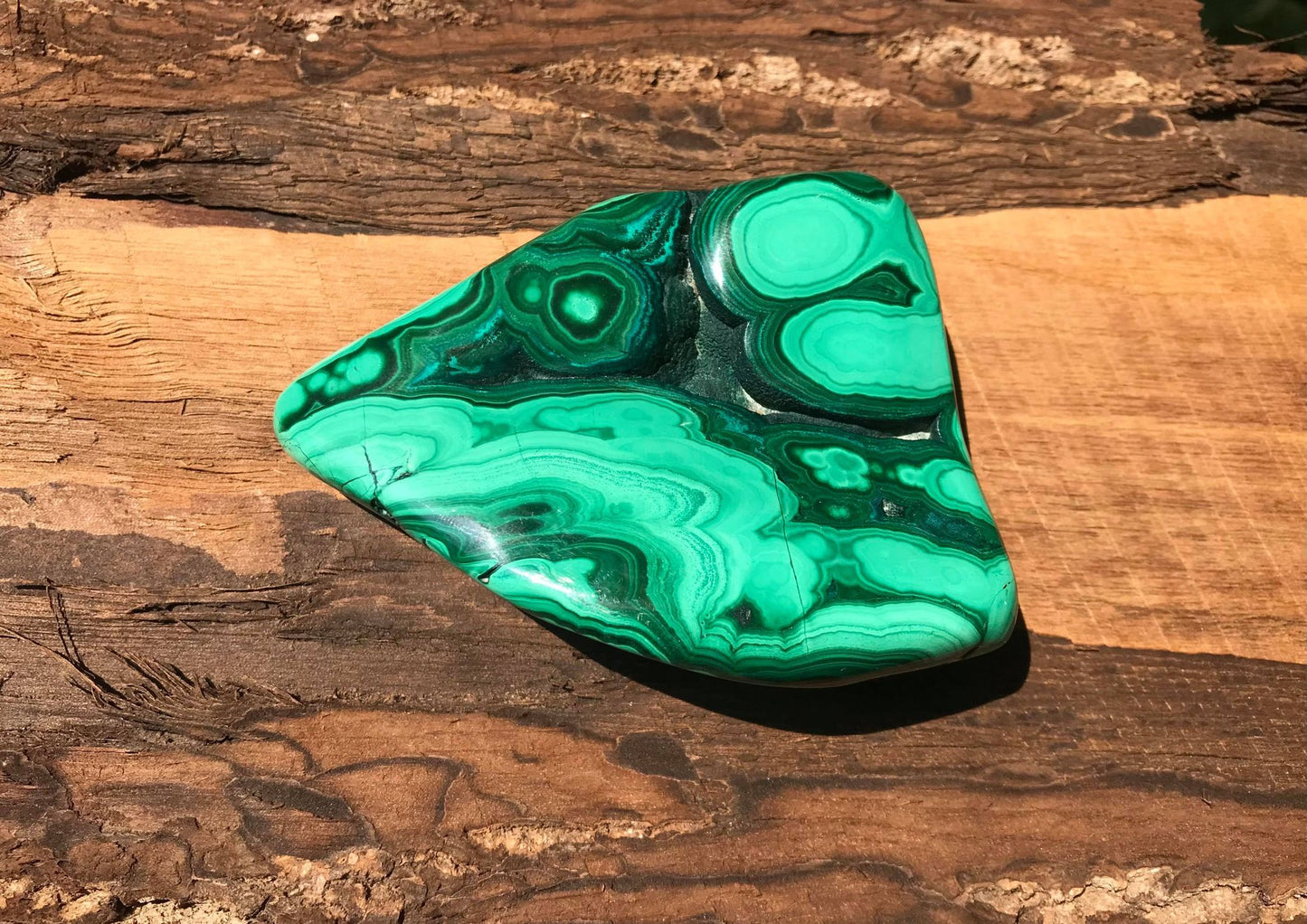Malachite ~ Polished Specimen Freeform ~ Large