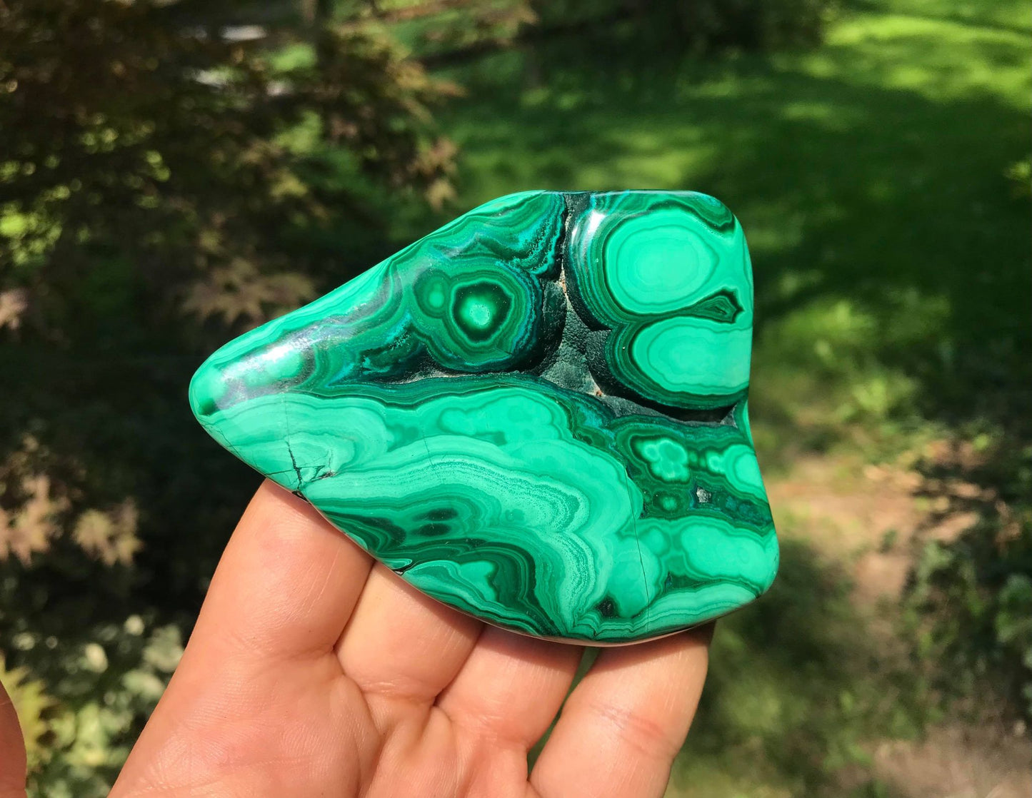 Malachite ~ Polished Specimen Freeform ~ Large