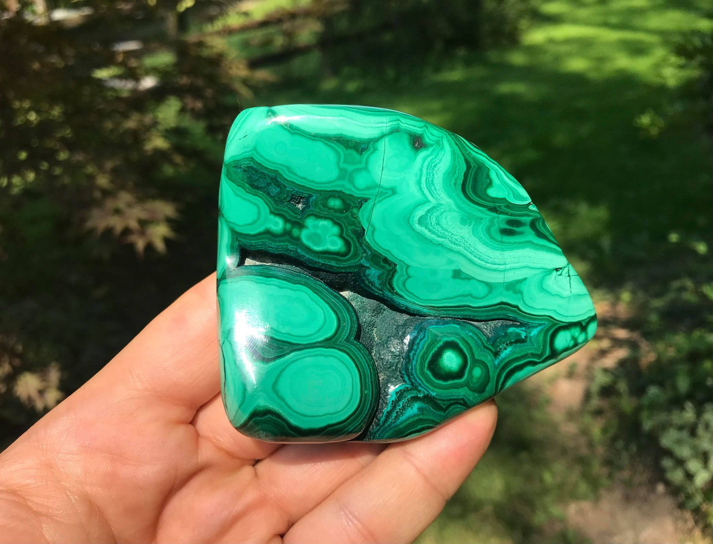 Malachite ~ Polished Specimen Freeform ~ Large