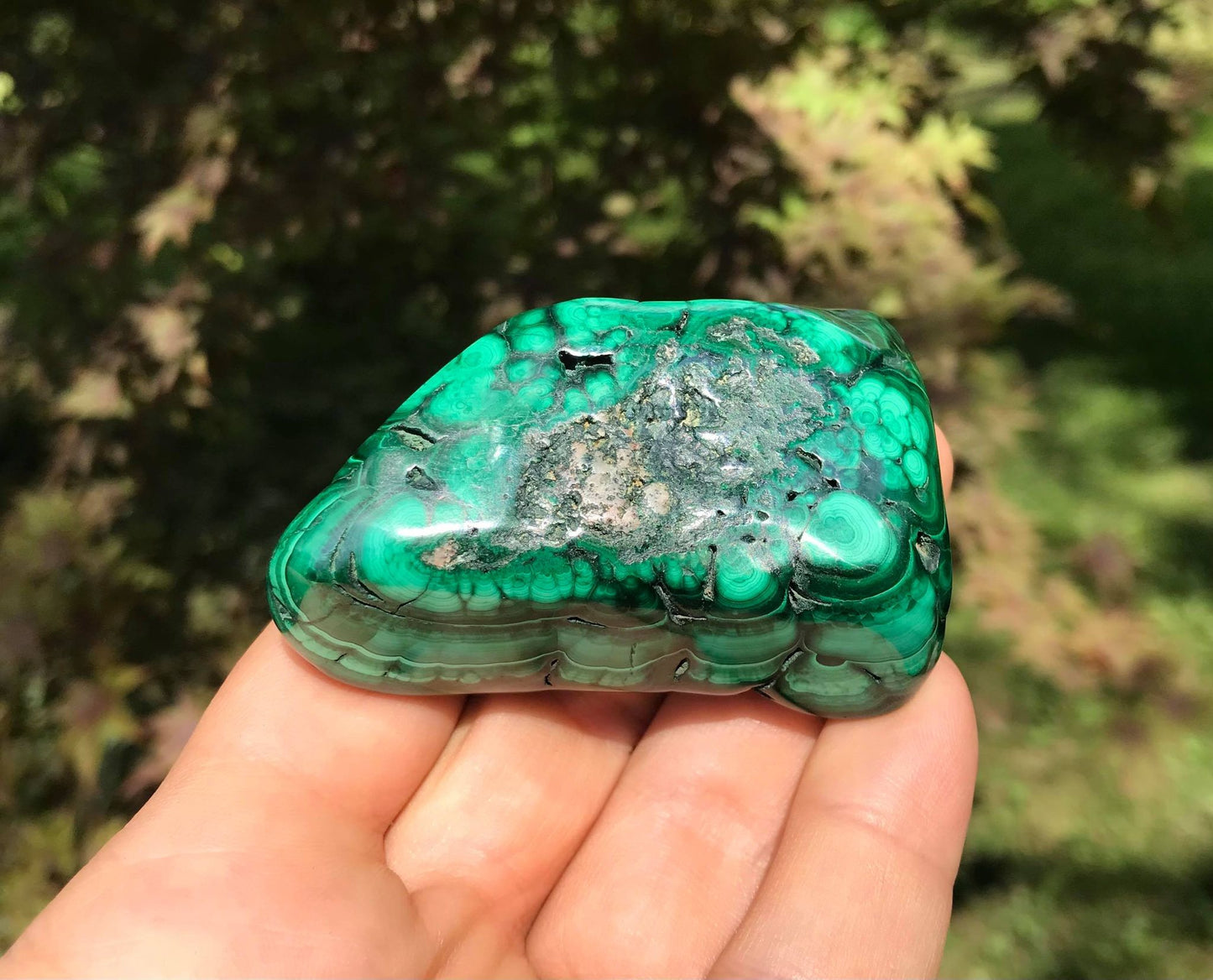 Malachite ~ Polished Specimen Freeform