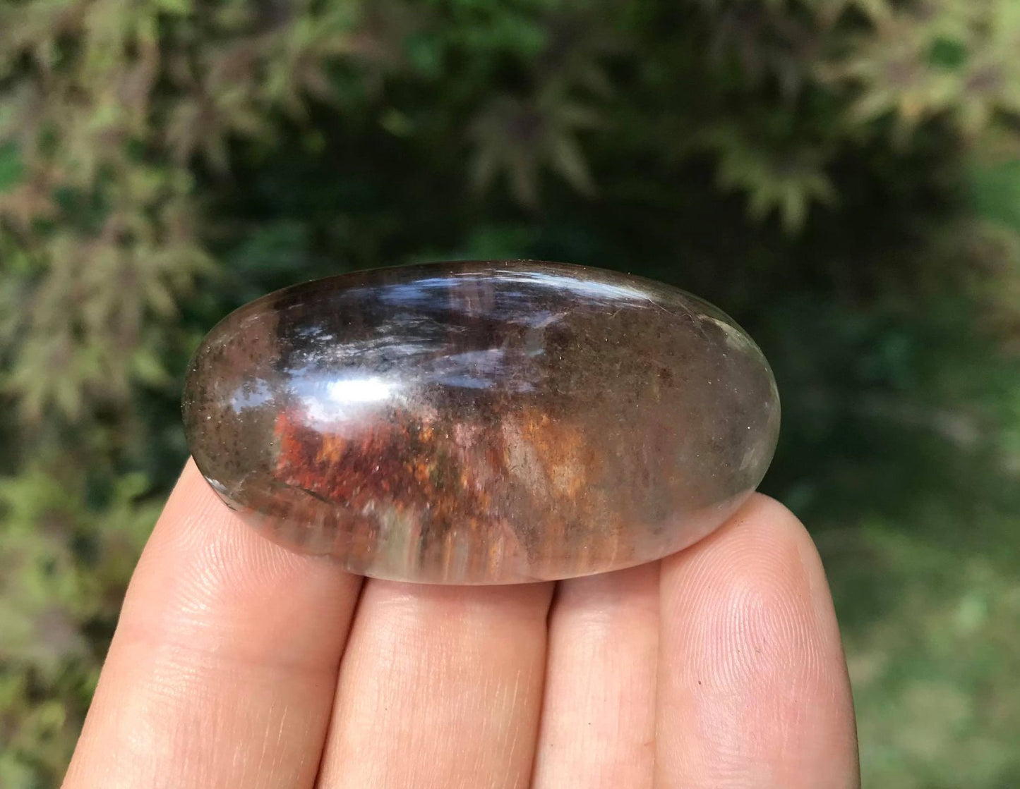 Garden Quartz Dome - Gem Realm
