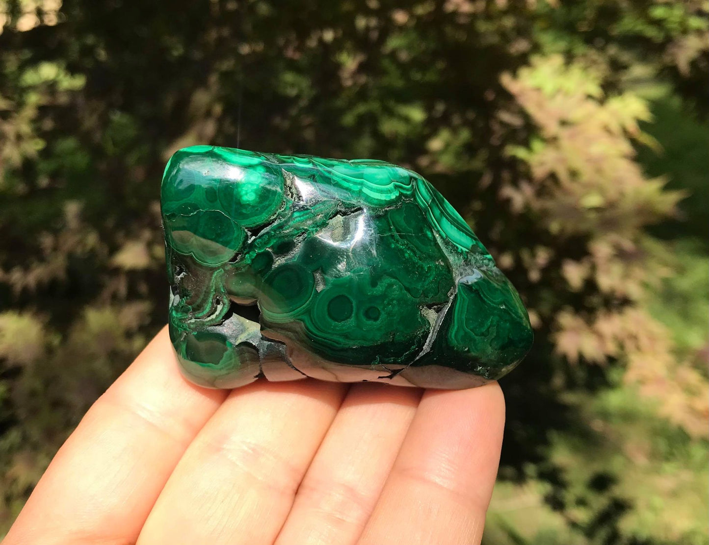 Malachite ~ Polished Specimen Freeform
