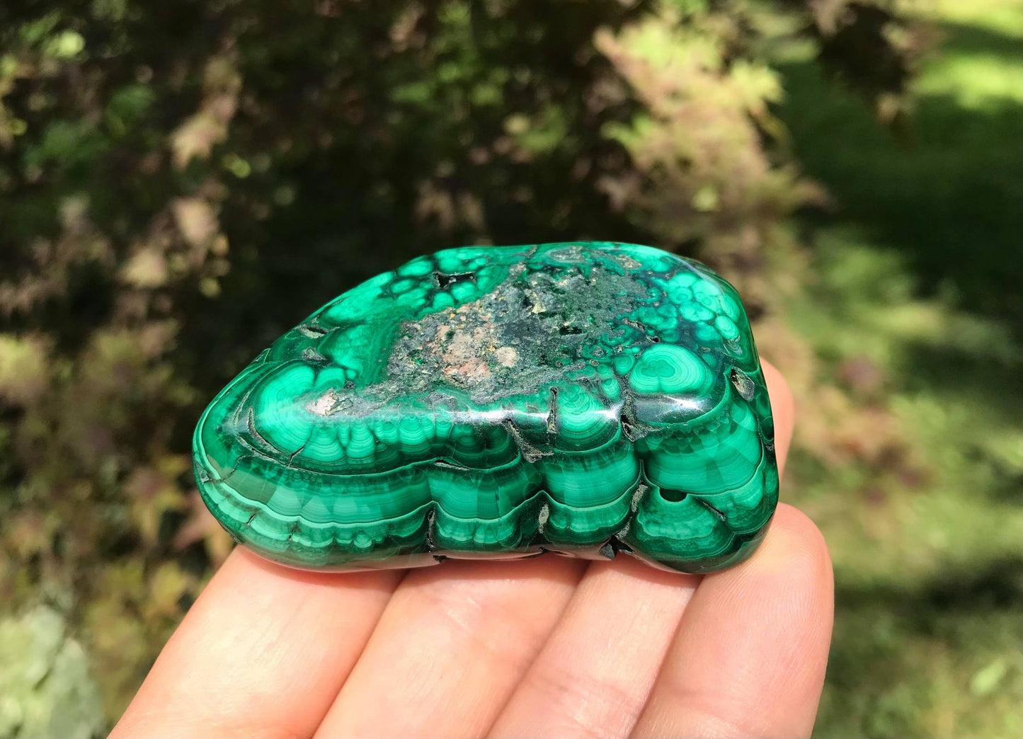 Malachite ~ Polished Specimen Freeform