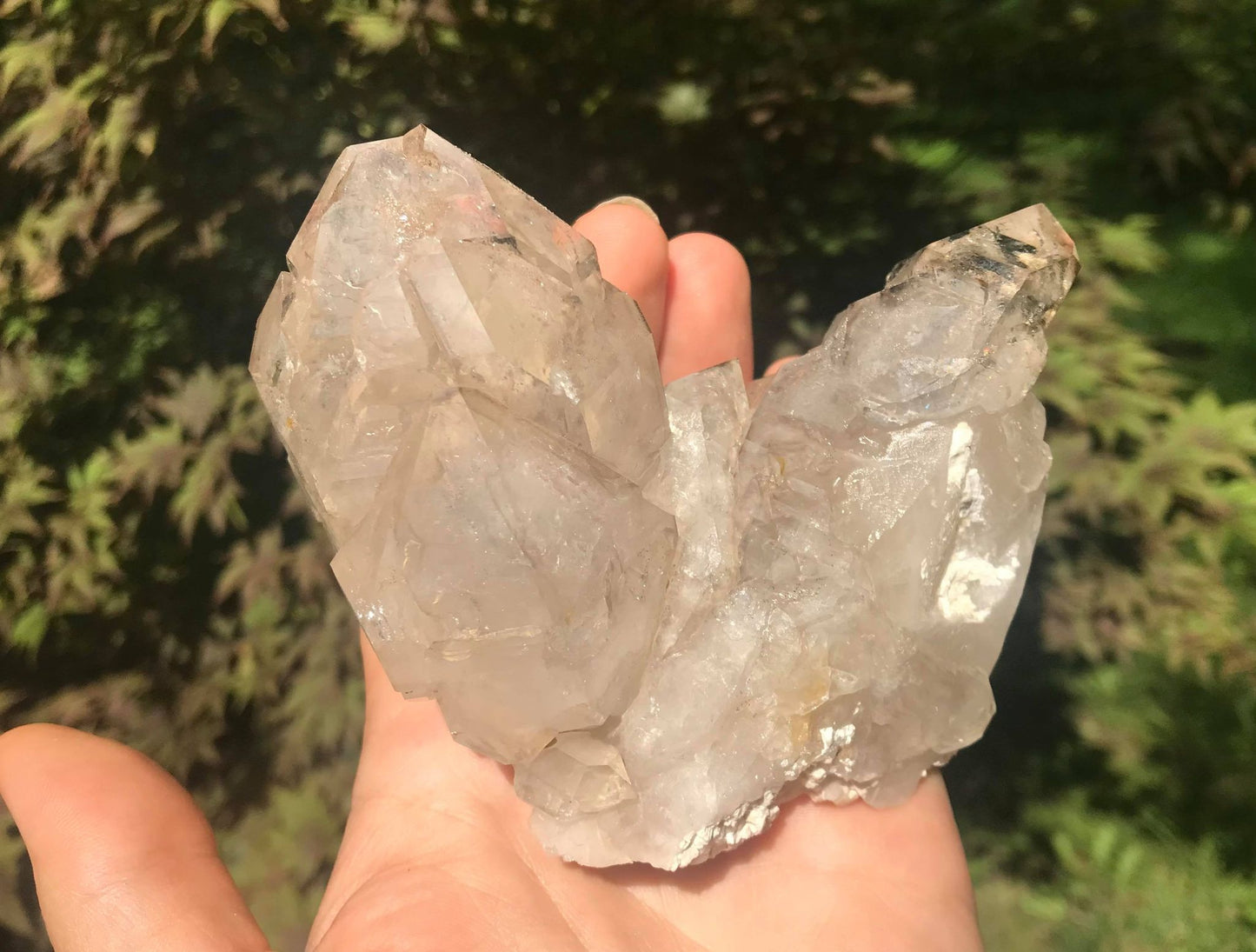 Smoky Elestial Quartz ~ Large