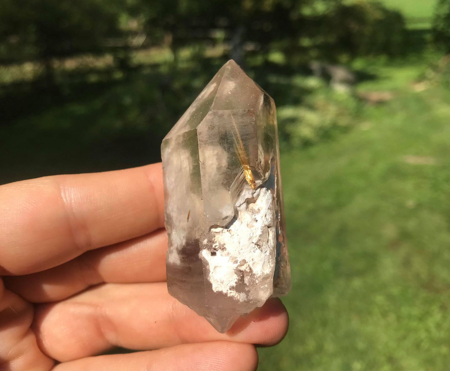 Rutilated Quartz Point with Chlorite - Gem Realm