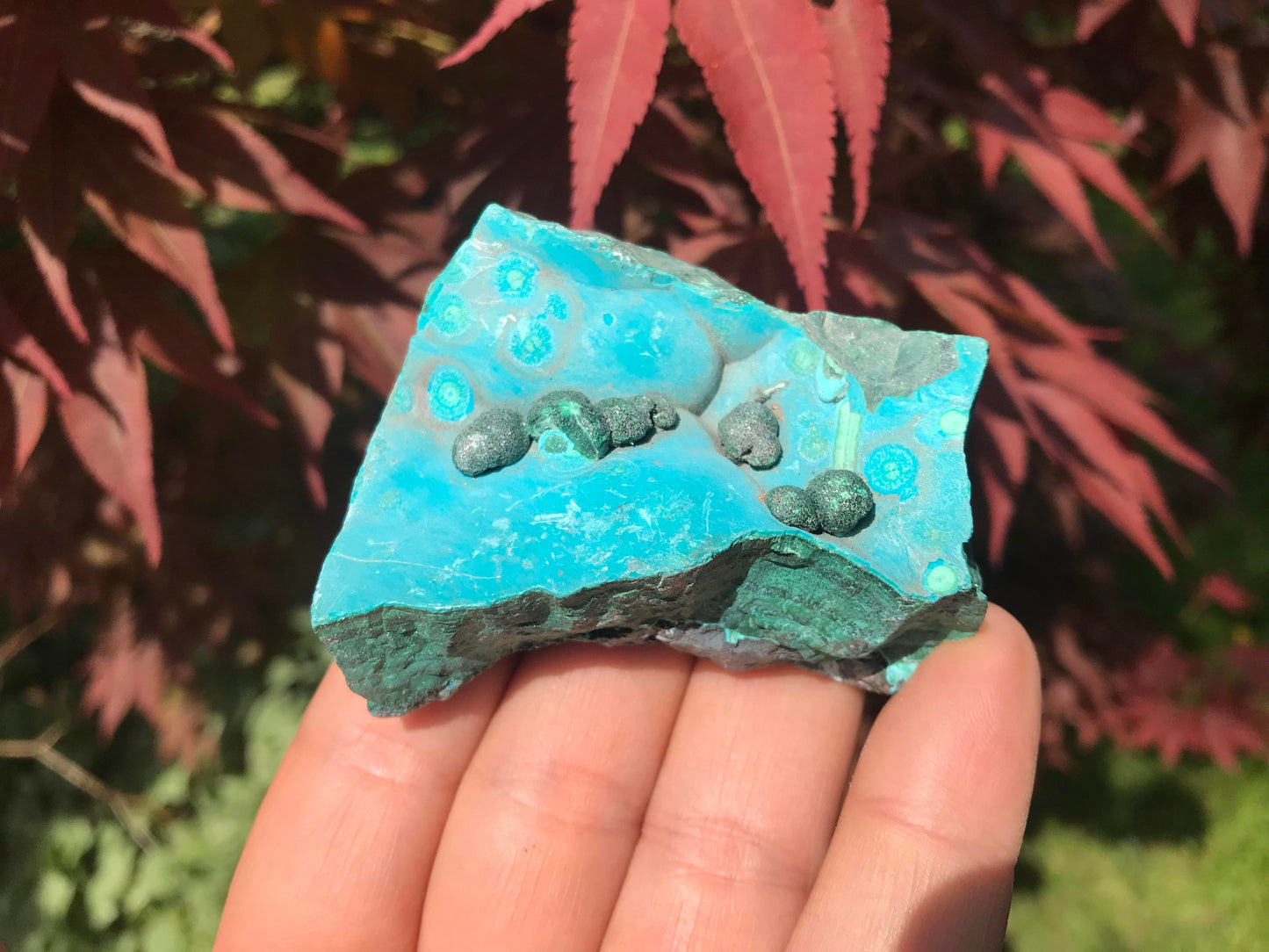 Chrysocolla & Malachite Specimen